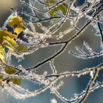 Здравствуй, зима: в Украине ожидаются первые морозы