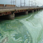 загрязнение реки Днепр