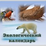 Экологический календарь на 2017 год