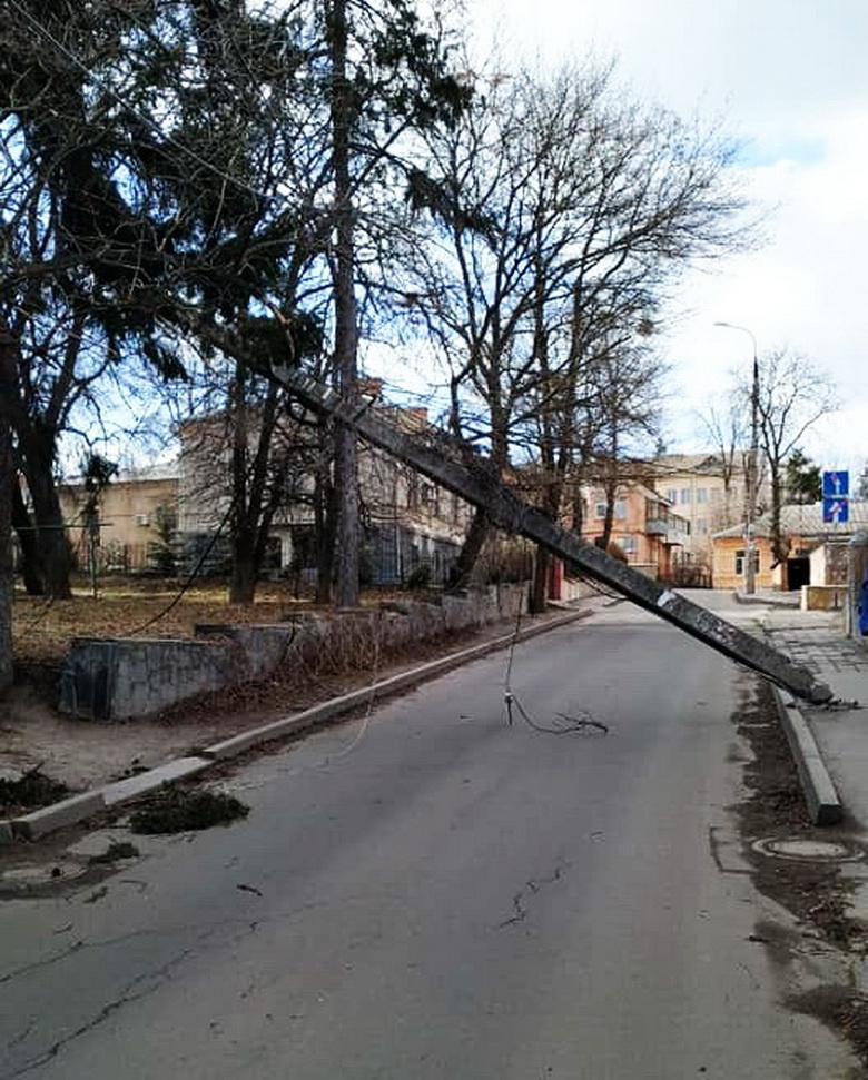 Повалена елка возле суда и столб на Милицейской. Винничане публикуют фото последствий штормового ветра