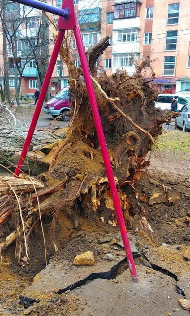 Повалена елка возле суда и столб на Милицейской. Винничане публикуют фото последствий штормового ветра