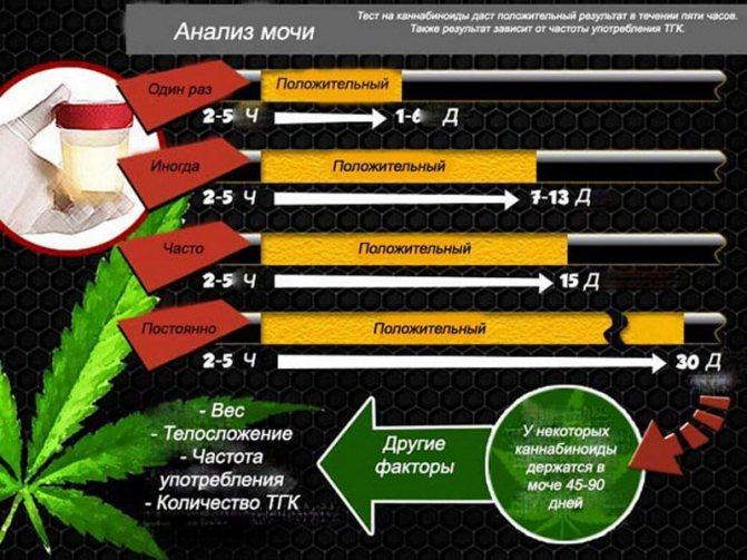 Через сколько выветривается марихуана из мочи российский браузер тор гидра
