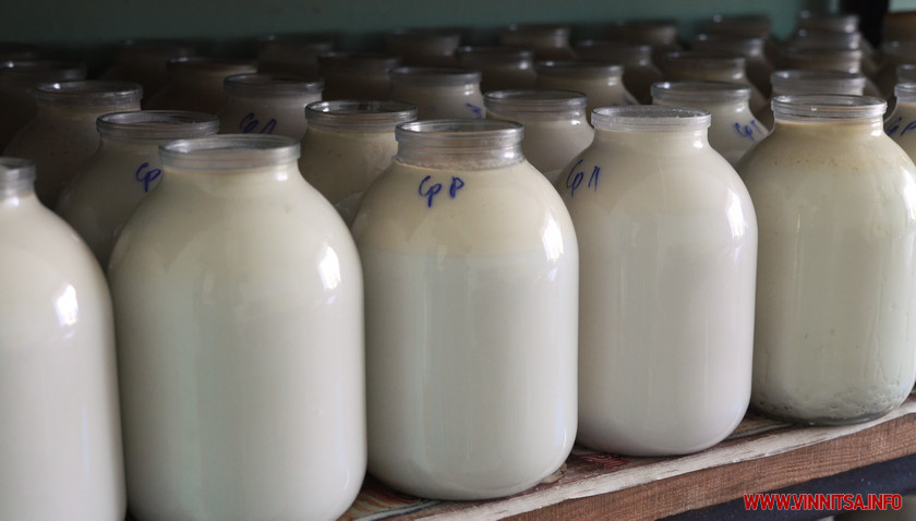 Молочная кампания: открываем бизнес по переработке молока с нуля